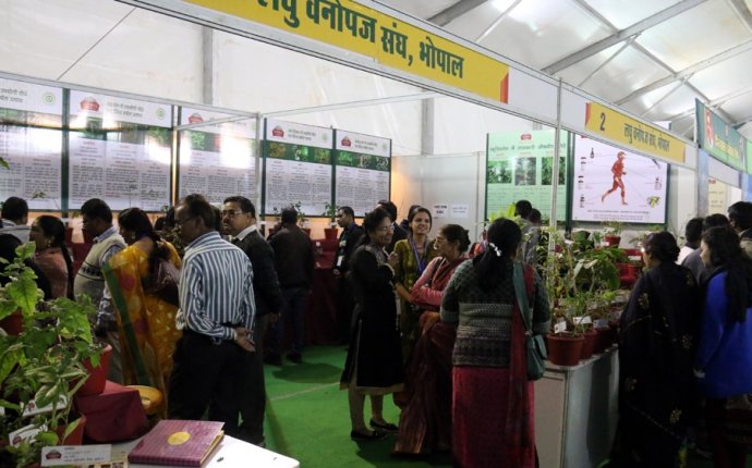 At MP s ayurveda fair, vaidyas claim AIDS, cancer cure | bhopal