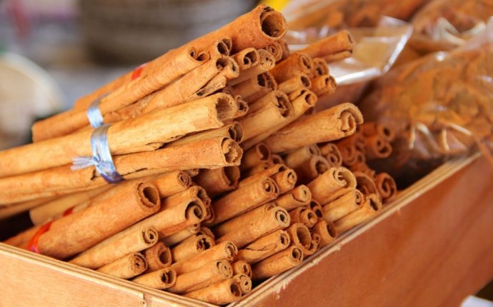 Cinnamon(Dalchini) medicinal uses – bimbima