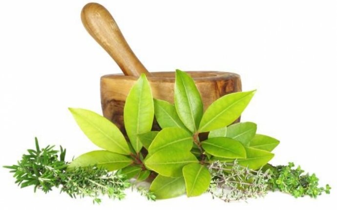 Reduced special prices for all Ayurvedic treatments at Ayurnilayam