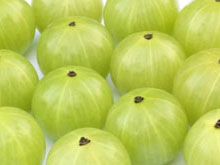 amla health benefits, amla medicinal uses, medicinal properties of amla, amla for hair, amla for skin, amla increase sperm count, ayurveda amla, Emblica officinalis