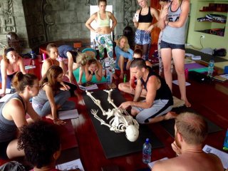 banyan yoga anatomy class