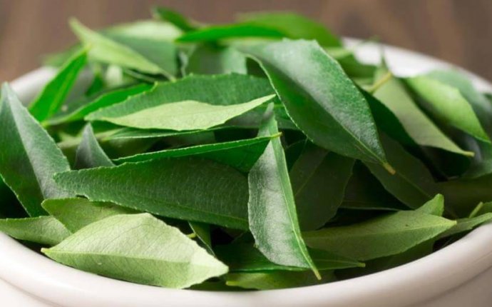Uses of curry leaves in Ayurveda