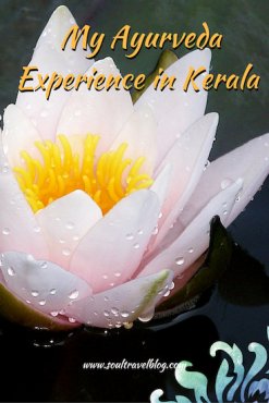 my ayurveda experience in kerala - soul travel blog