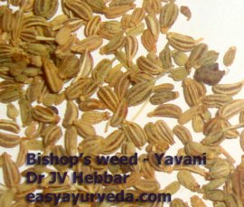 Yavani - Bishop's weed